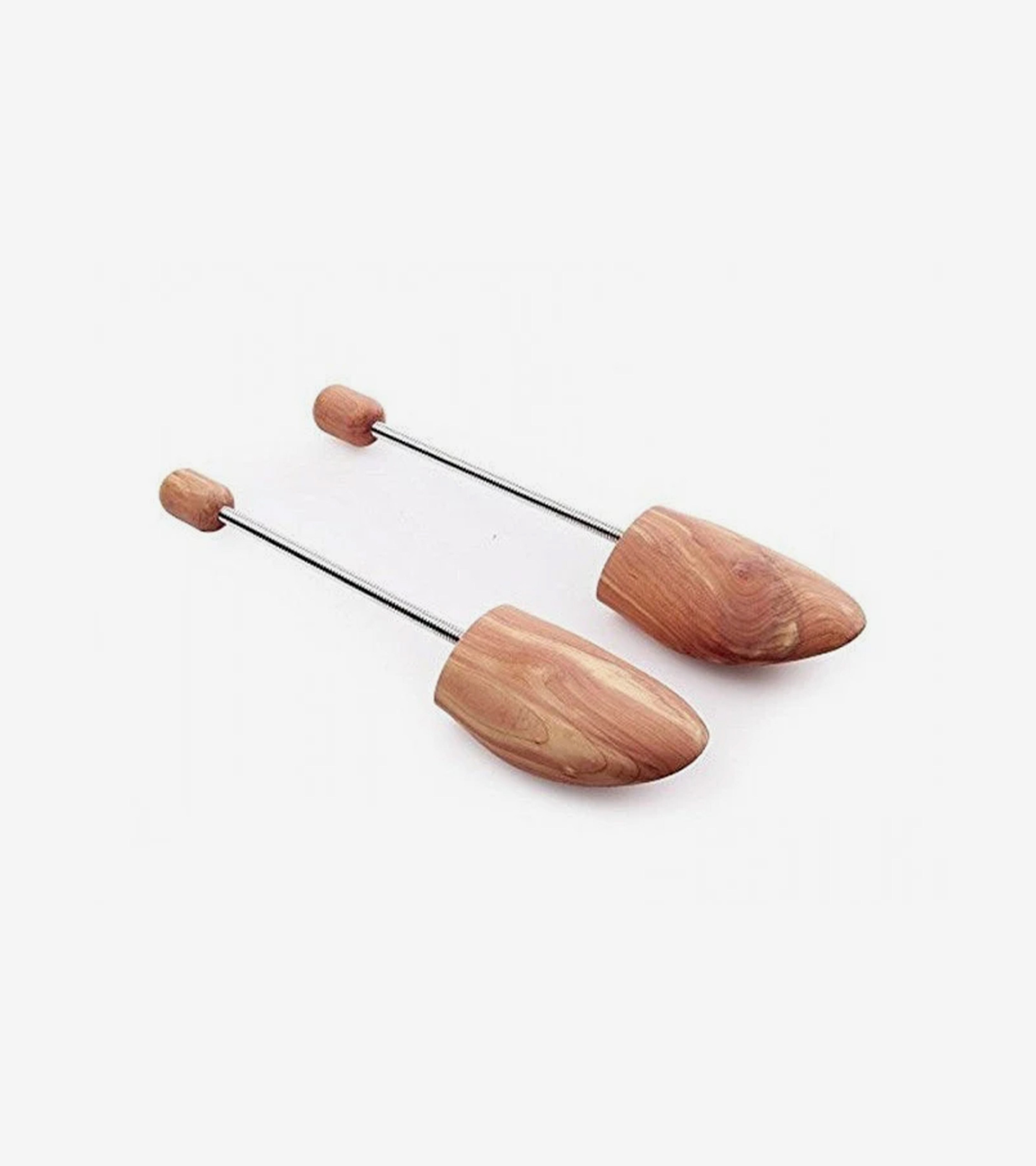 Cedar Sneaker Trees – Jack Erwin