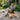 A man sits in a wooden Adirondack chair on a stone patio reading a book, with a golden retriever lying nearby. He is wearing a gray quarter-zip sweater, beige pants, and men's european crafted blue suede leather lace-up sneakers.