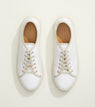 White Leather with Cream Sole